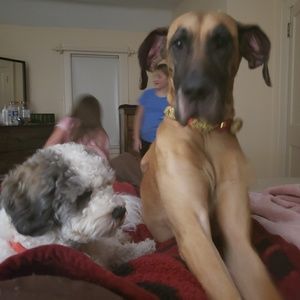 Meet your Posher, Natasha